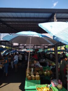 A crowded market, with fruit-covered tables and many customers in the aisleways. Two blue umbrellas and some green crates are prominently visible.