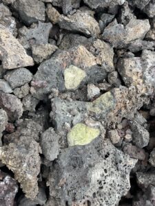 Two xenoliths