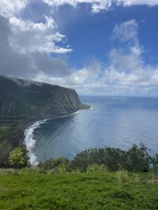 Waipio Valley with abrupt cliff, black sand beach, and lush vegetation