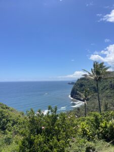 Polou Valley overlook of sea, palms, and cliffs