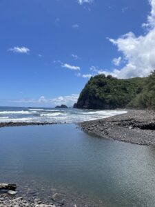 Pololu