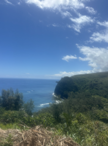 pololu valley