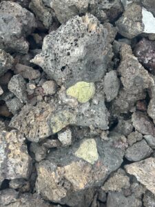 1800-1801 Hualalai Xenoliths. 